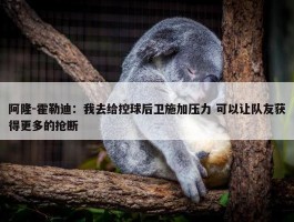 阿隆-霍勒迪：我去给控球后卫施加压力 可以让队友获得更多的抢断