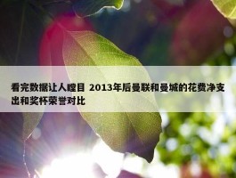 看完数据让人瞠目 2013年后曼联和曼城的花费净支出和奖杯荣誉对比