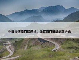 宁静批演员门槛现状：像菜园门谁都能踏进来