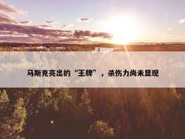 马斯克亮出的“王牌”，杀伤力尚未显现