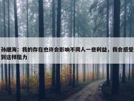 孙继海：我的存在也许会影响不同人一些利益，我会感受到这样阻力