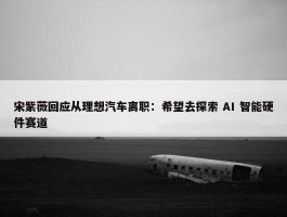 宋紫薇回应从理想汽车离职：希望去探索 AI 智能硬件赛道