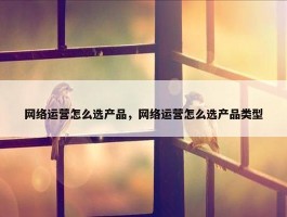 网络运营怎么选产品，网络运营怎么选产品类型