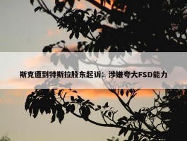 斯克遭到特斯拉股东起诉：涉嫌夸大FSD能力