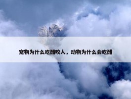 宠物为什么吃醋咬人，动物为什么会吃醋