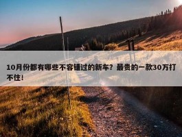 10月份都有哪些不容错过的新车？最贵的一款30万打不住！