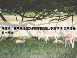 乌度卡：我从来没因为罚球问题而让申京下场 但防守是另一回事