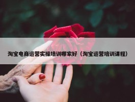 淘宝电商运营实操培训哪家好（淘宝运营培训课程）