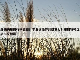 皮肤销量排行榜更新！李白谪仙醉月仅第七？庄周牧神之旅不见踪影