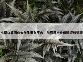 小猿口算回应大学生涌入平台：加强用户身份验证和管理