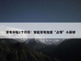 家电补贴2个月后：智能家电加速“占领”小县城