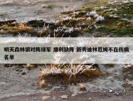 明天森林狼对阵绿军 康利缺阵 新秀迪林厄姆不在伤病名单