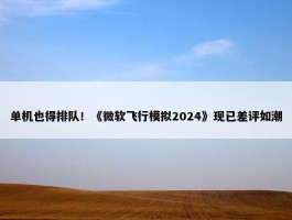 单机也得排队！《微软飞行模拟2024》现已差评如潮