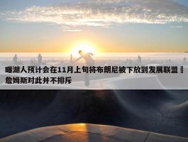 曝湖人预计会在11月上旬将布朗尼被下放到发展联盟 詹姆斯对此并不排斥