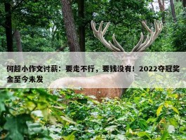 何超小作文讨薪：要走不行，要钱没有！2022夺冠奖金至今未发