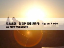 性能虽强，但目前需谨慎使用！Ryzen 7 9800X3D发生烧毁案例