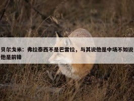 贝尔戈米：弗拉泰西不是巴雷拉，与其说他是中场不如说他是前锋