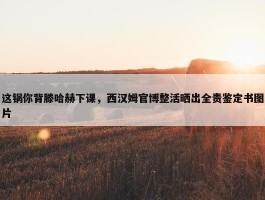 这锅你背滕哈赫下课，西汉姆官博整活晒出全责鉴定书图片