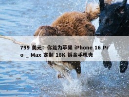 799 美元：你能为苹果 iPhone 16 Pro _ Max 定制 18K 镀金手机壳