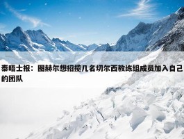 泰晤士报：图赫尔想招揽几名切尔西教练组成员加入自己的团队