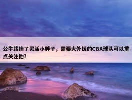 公牛裁掉了灵活小胖子，需要大外援的CBA球队可以重点关注他？