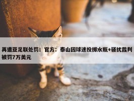 再遭亚足联处罚！官方：泰山因球迷投掷水瓶+骚扰裁判被罚7万美元