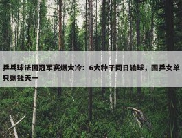 乒乓球法国冠军赛爆大冷：6大种子同日输球，国乒女单只剩钱天一