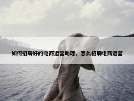 如何招聘好的电商运营助理，怎么招聘电商运营