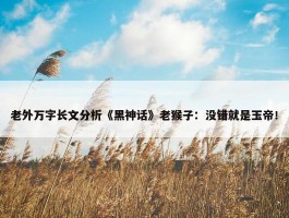 老外万字长文分析《黑神话》老猴子：没错就是玉帝！