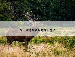 又一家造车新势力撑不住了