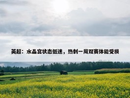 英超：水晶宫状态低迷，热刺一周双赛体能受损