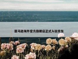 亚马逊海外官方旗舰店正式入驻京东