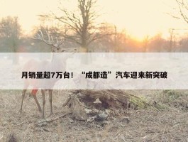 月销量超7万台！“成都造”汽车迎来新突破