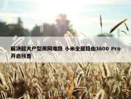 解决超大户型用网难题 小米全屋路由3600 Pro开启预售