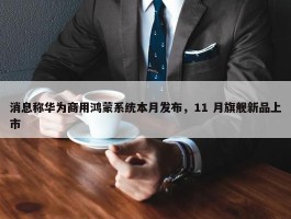 消息称华为商用鸿蒙系统本月发布，11 月旗舰新品上市