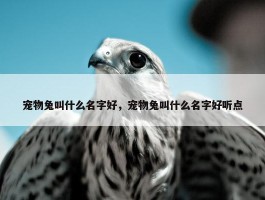 宠物兔叫什么名字好，宠物兔叫什么名字好听点