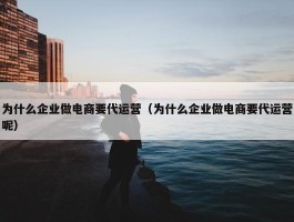 为什么企业做电商要代运营（为什么企业做电商要代运营呢）