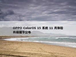 OPPO ColorOS 15 系统 11 月体验升级细节公布