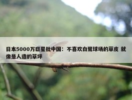 日本5000万巨星批中国：不喜欢白鹭球场的草皮 就像是人造的草坪