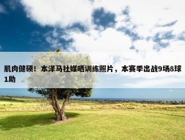 肌肉健硕！本泽马社媒晒训练照片，本赛季出战9场8球1助