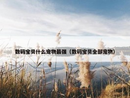 数码宝贝什么宠物最强（数码宝贝全部宠物）