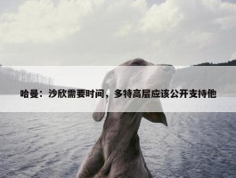 哈曼：沙欣需要时间，多特高层应该公开支持他