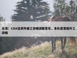 北青：CBA征求外援工资帽调整意见，多队愿意提升工资帽