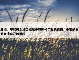 王皓：不能完全说樊振东夺冠弥补了我的遗憾，重要的是他完成自己的目标