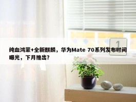 纯血鸿蒙+全新麒麟，华为Mate 70系列发布时间曝光，下月推出？