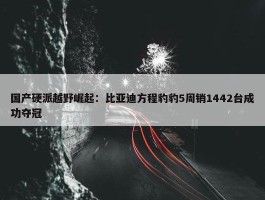 国产硬派越野崛起：比亚迪方程豹豹5周销1442台成功夺冠