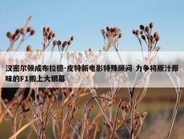 汉密尔顿成布拉德-皮特新电影特殊顾问 力争将原汁原味的F1搬上大银幕