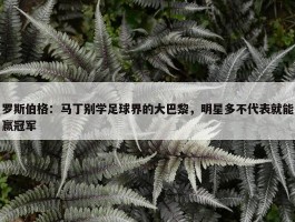 罗斯伯格：马丁别学足球界的大巴黎，明星多不代表就能赢冠军