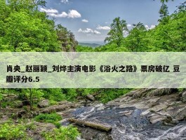 肖央_赵丽颖_刘烨主演电影《浴火之路》票房破亿 豆瓣评分6.5