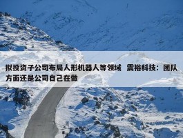 拟投资子公司布局人形机器人等领域  震裕科技：团队方面还是公司自己在做